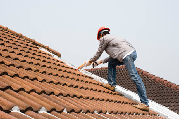 Best Green or Eco-Friendly Roofing Solutions  in Ipswich, SD